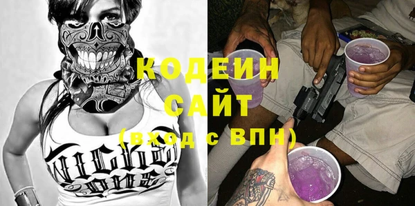 сатива Шадринск